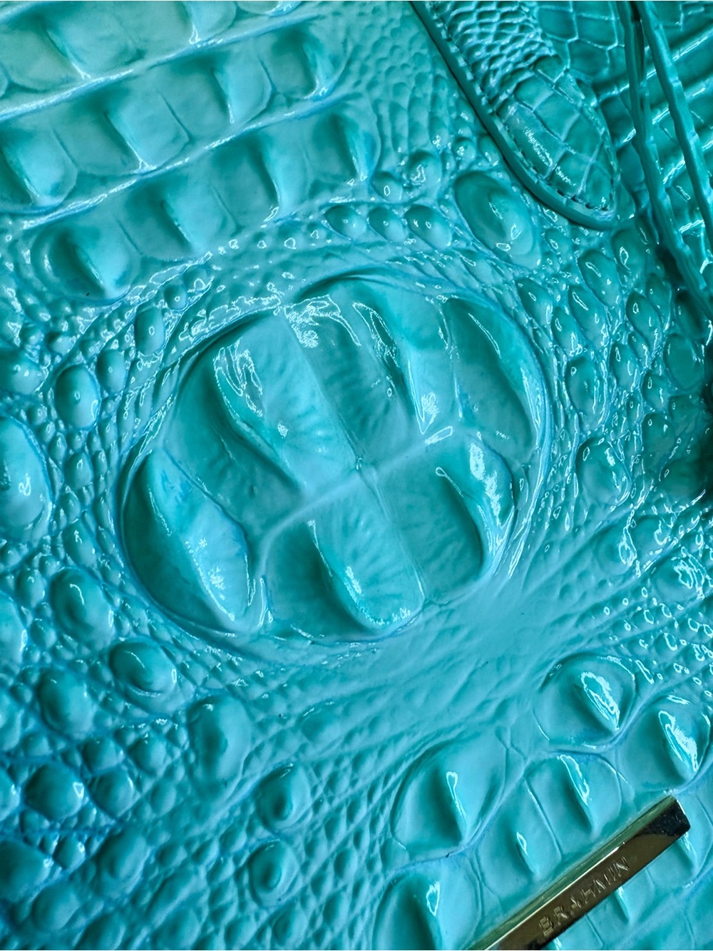 Brahmin NWT Duxbury - Jadeite - *Exclusive Design* - FRONT EYE - Cool Mint - Picture 10 of 16